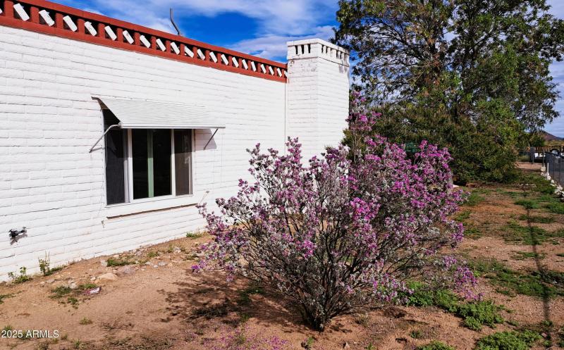 texas Ranger, west side of home