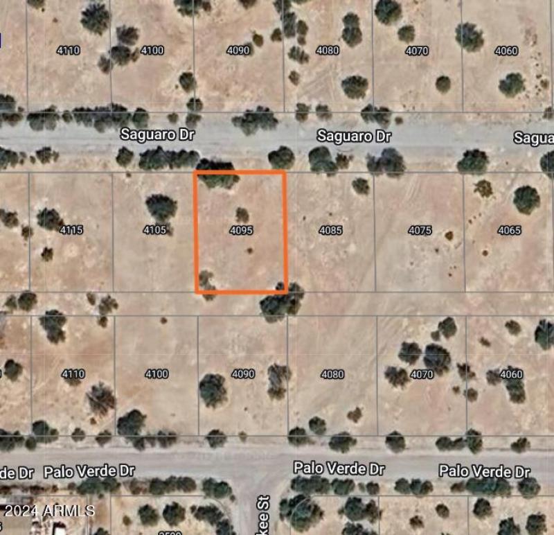 4095 W Saguaro Aerial w boundaries