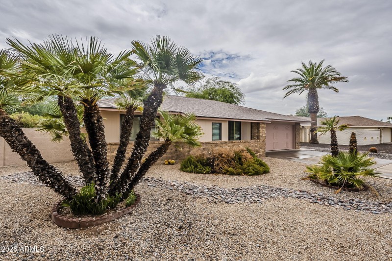 3-web-or-mls-Blue Bonnet-3