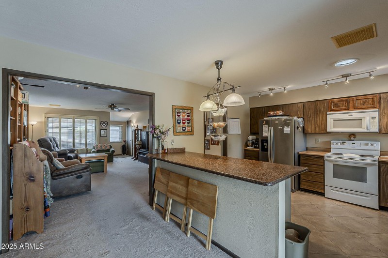 13-web-or-mls-Blue Bonnet-13