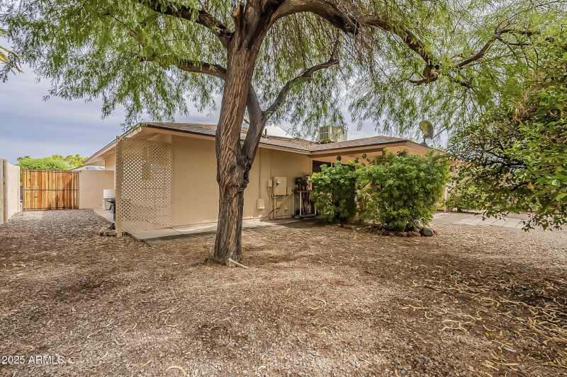 41-web-or-mls-Blue Bonnet-41