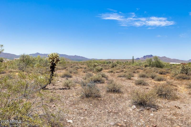 Photo by ChaseCapture 5