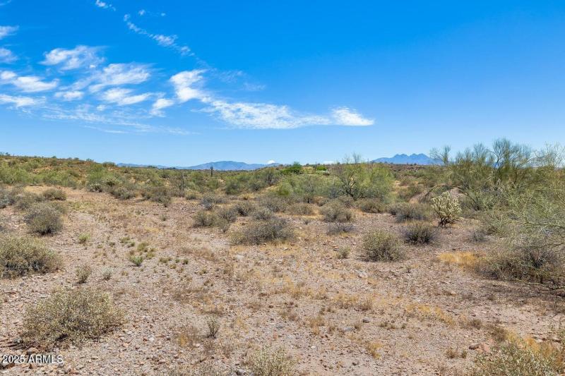 Photo by ChaseCapture 6