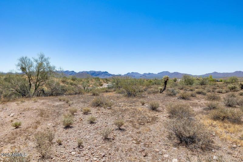 Photo by ChaseCapture 7