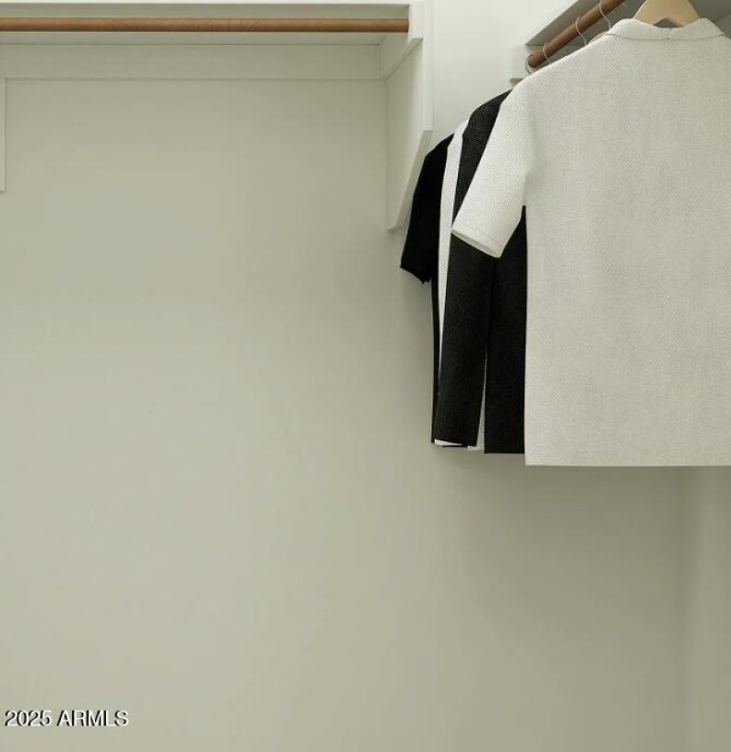 Owners Walk in Closet