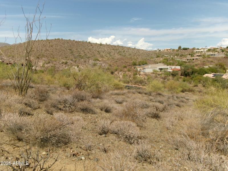 Landscape lot 224 (1)