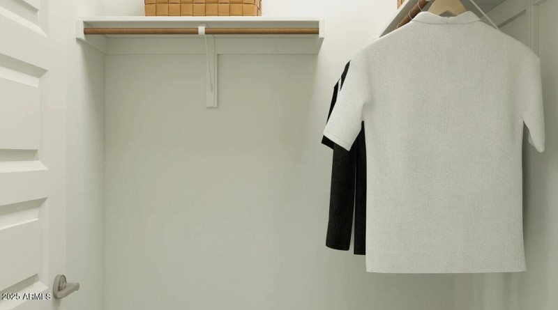 Owners Walk in Closet