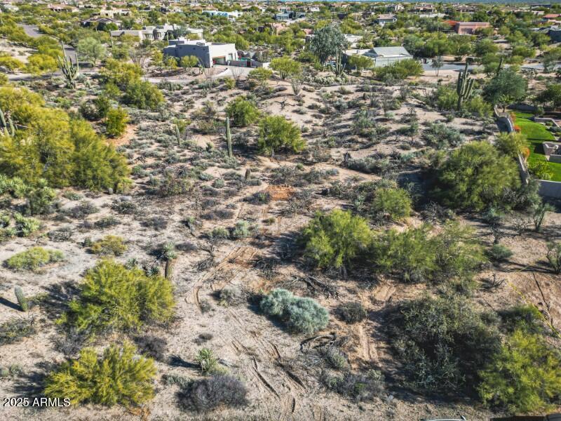 IMG_20250919_161414_copy_800x600