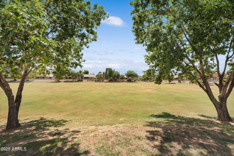 52-web-or-mls-DSC06375