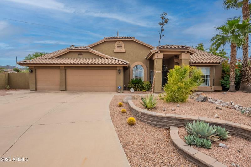 4-web-or-mls-Tasman-4