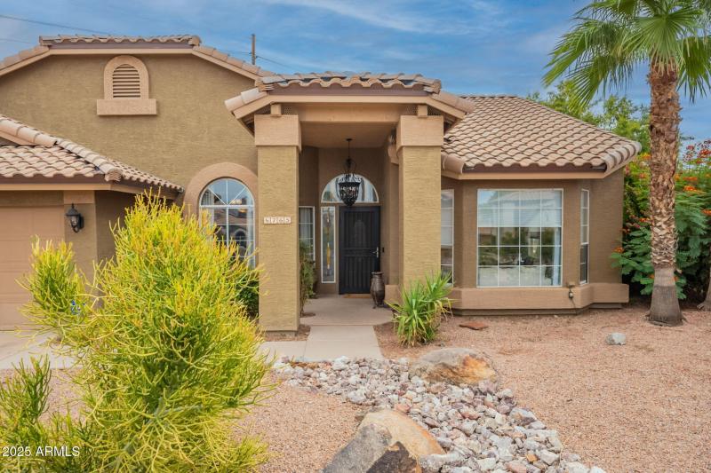 5-web-or-mls-Tasman-5