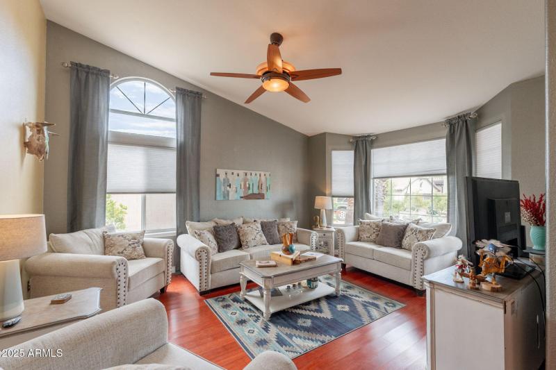 9-web-or-mls-Tasman-9