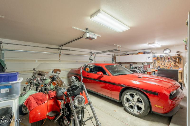 54-web-or-mls-Tasman-54