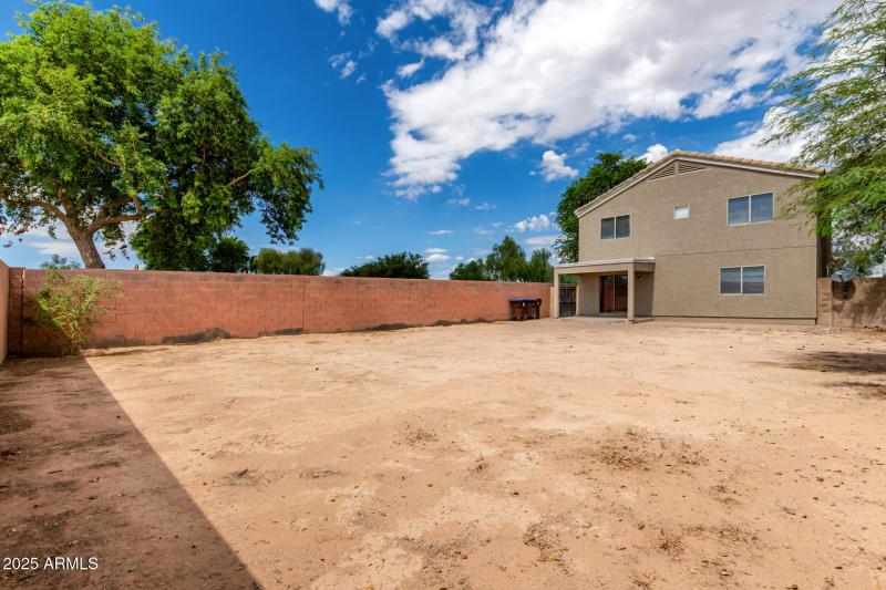 Large Backyard - Lush