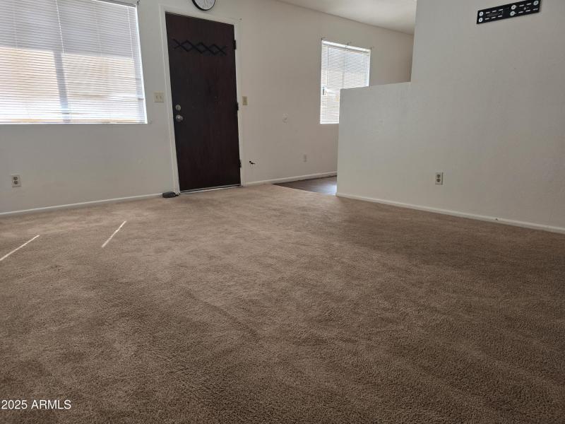 New Carpet-Big LR-201