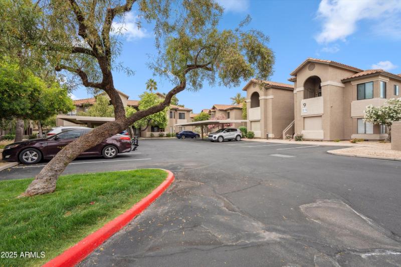 25-Desert Oasis Community