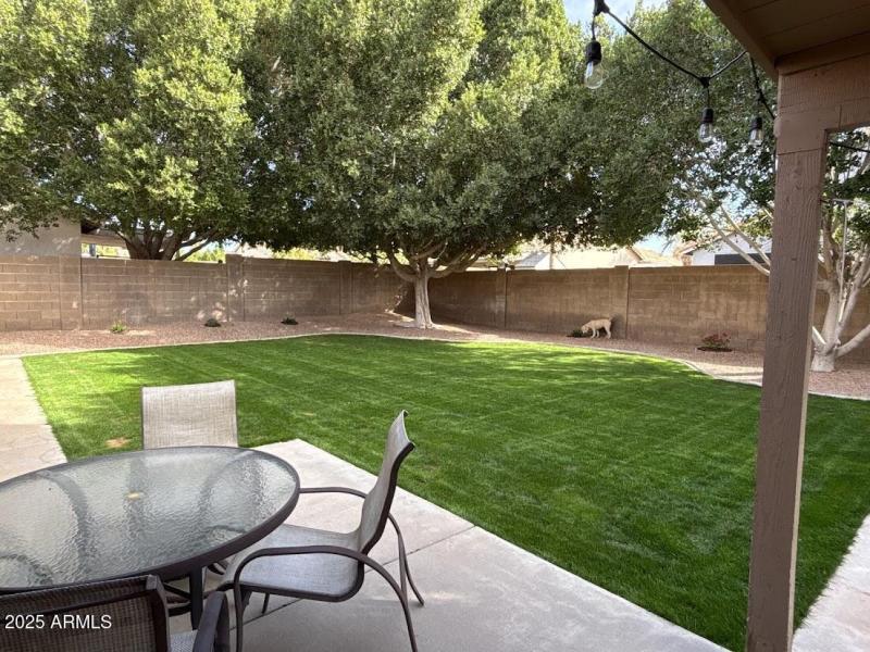 IMG_0806 Rochelle Yard