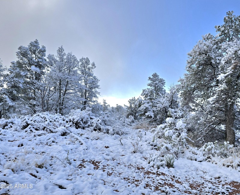 Terrain Level to Gently Sloping