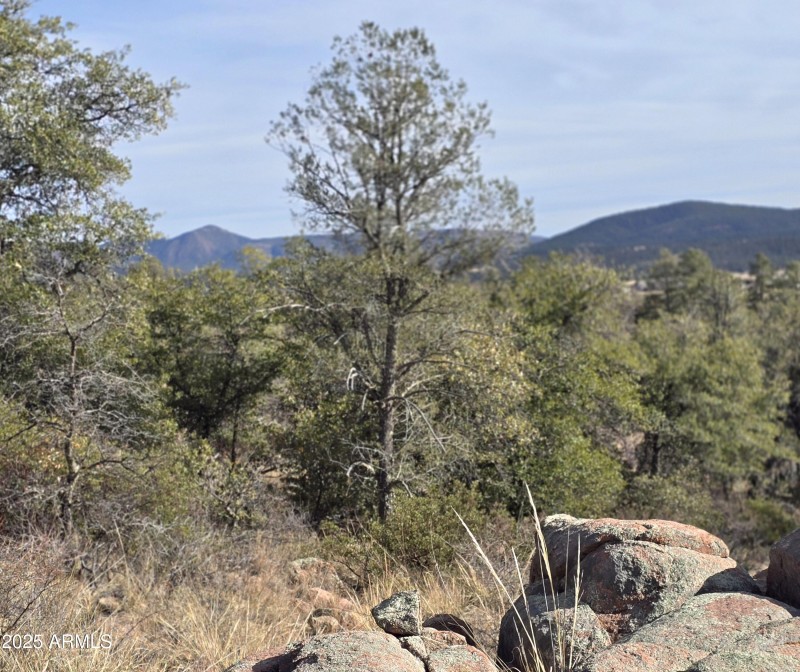 Pinion Pine in foreground
