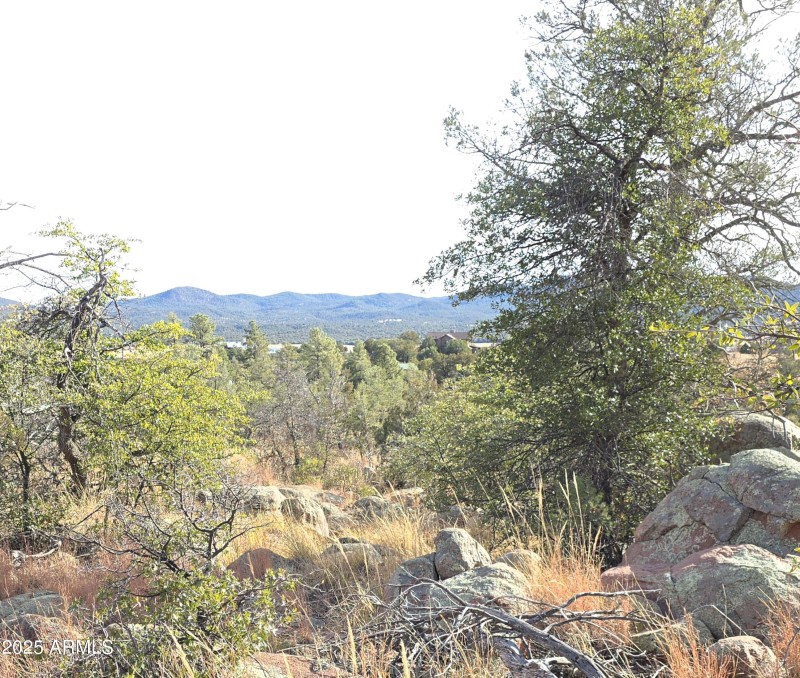 View to SE & Oak Tree