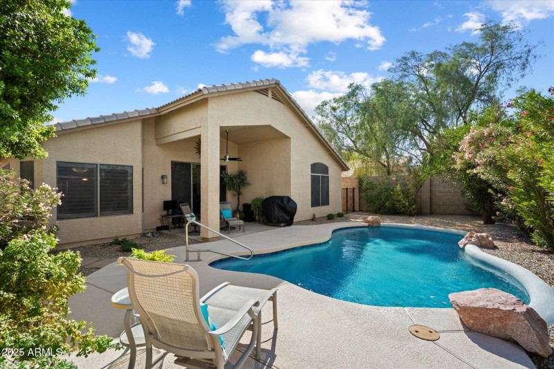 Another Backyard View