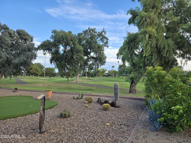 Enjoy the grass with no maintenance