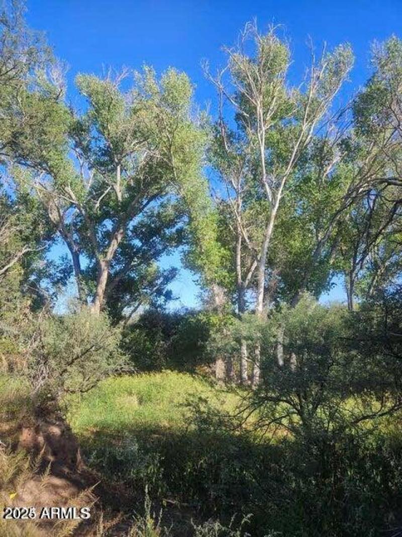 20240921193604238418000000-o