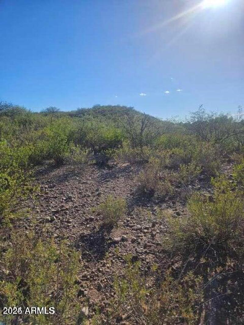 20240921193608930541000000-o