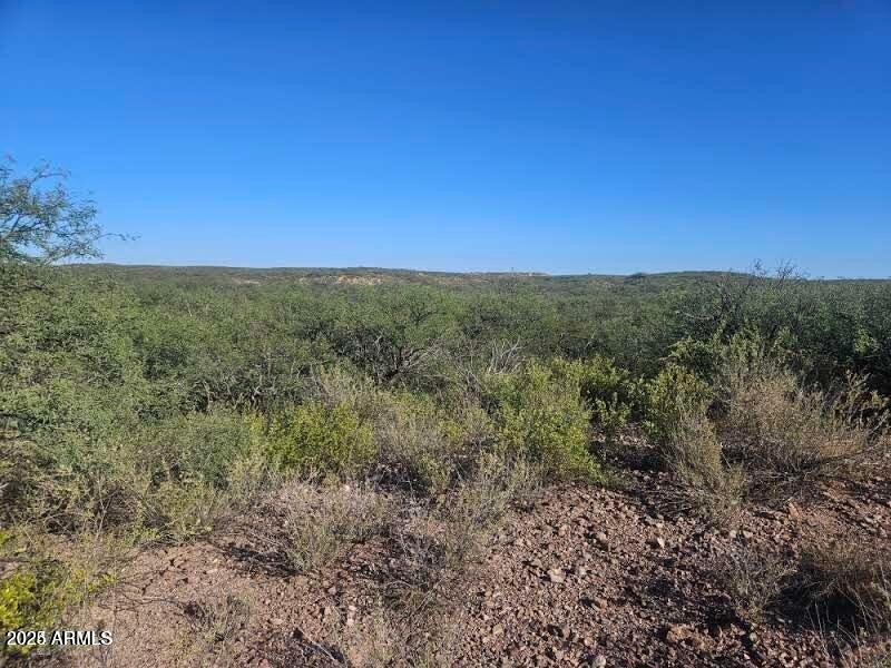 20240921193610305472000000-o