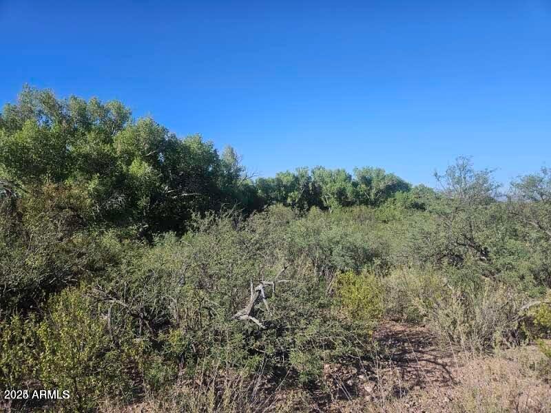 20240921193612082670000000-o