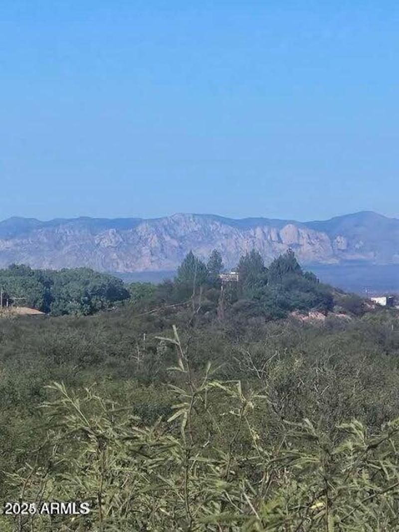 20240921193616218241000000-o