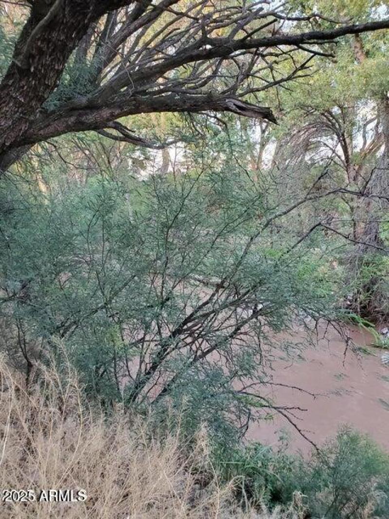 20250312213338298548000000-o