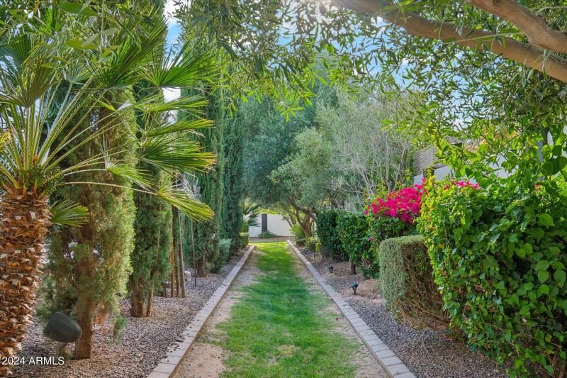 Lush dog running area