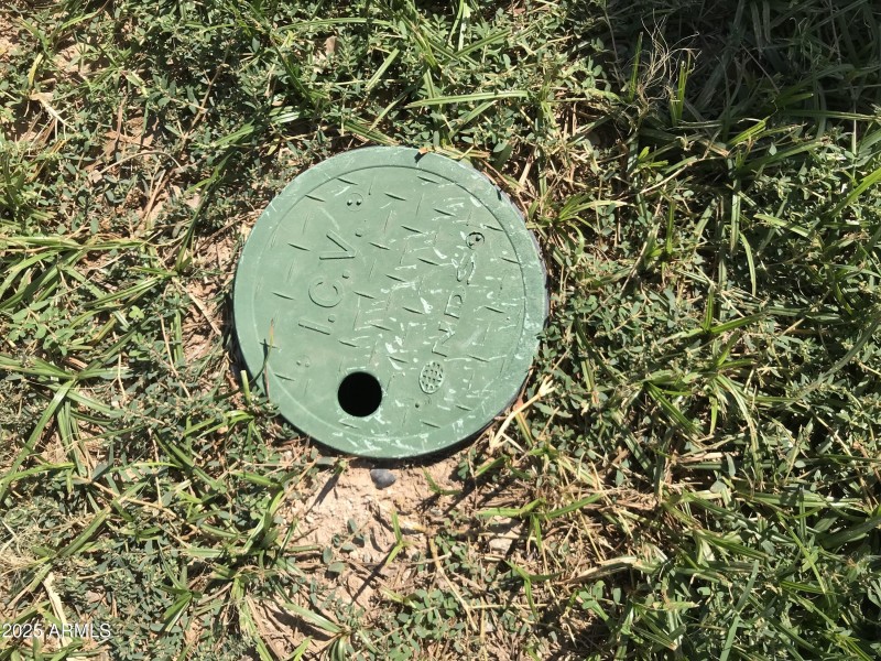 RV Dump in Front Yard