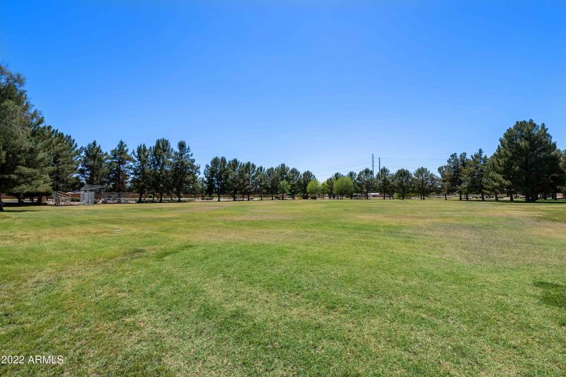 Community Park