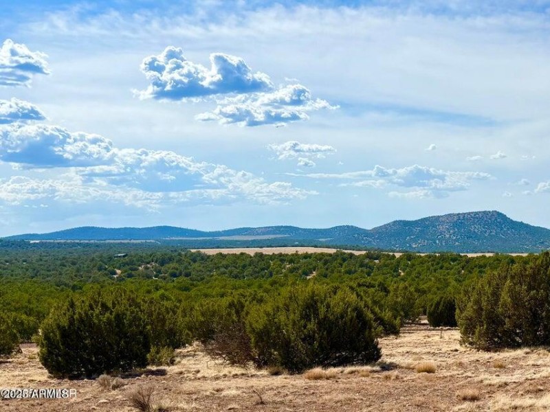 20250824010845338444000000-o