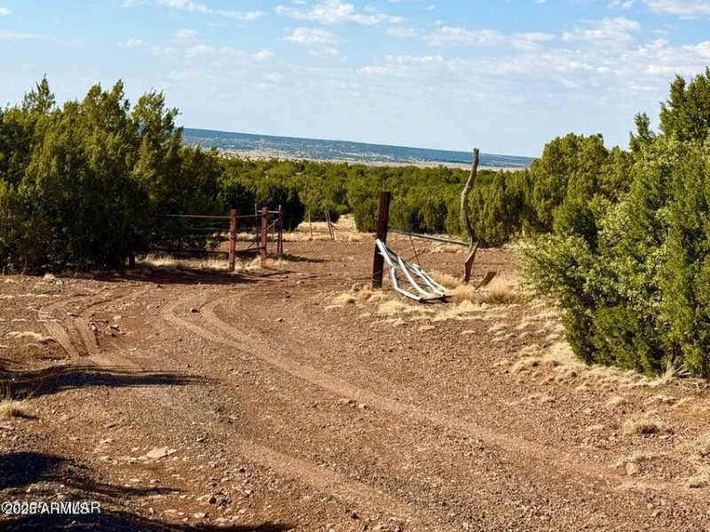 20250824004256676916000000-o