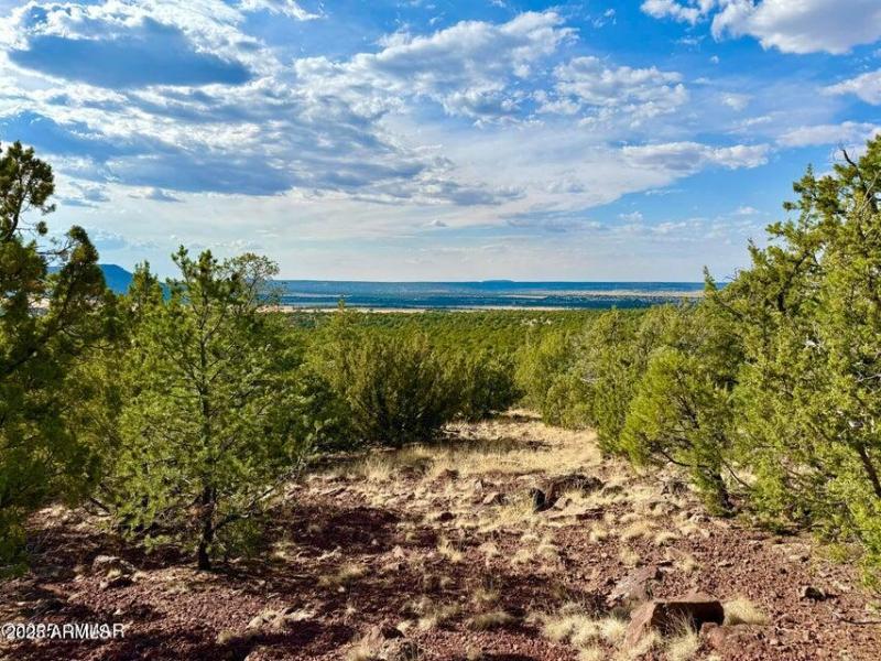 20250823204413560422000000-o