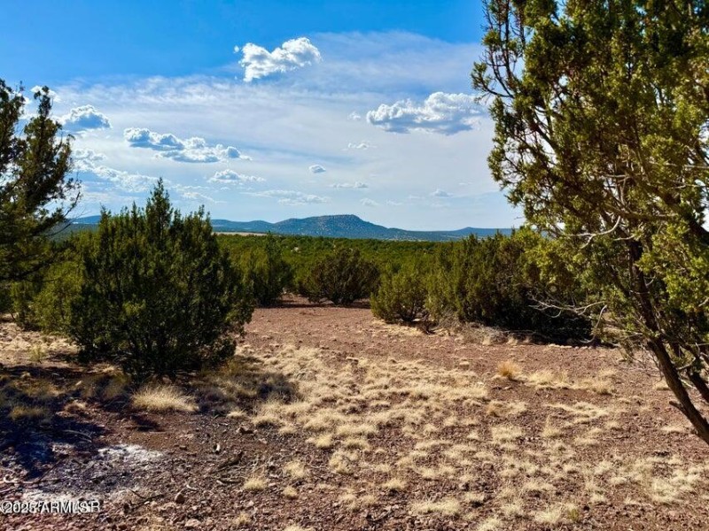 20250824005440946726000000-o