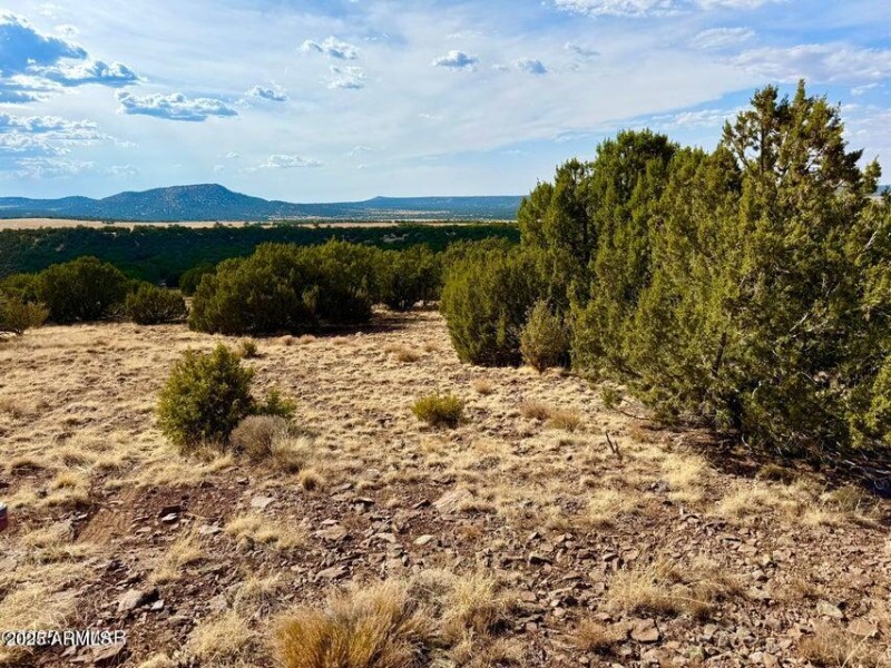 20250823204602268809000000-o