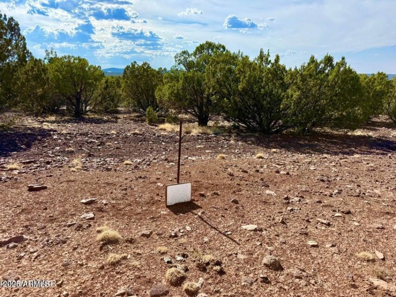 20250824004310997356000000-o