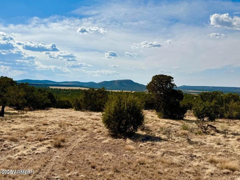 20250824004714123240000000-o