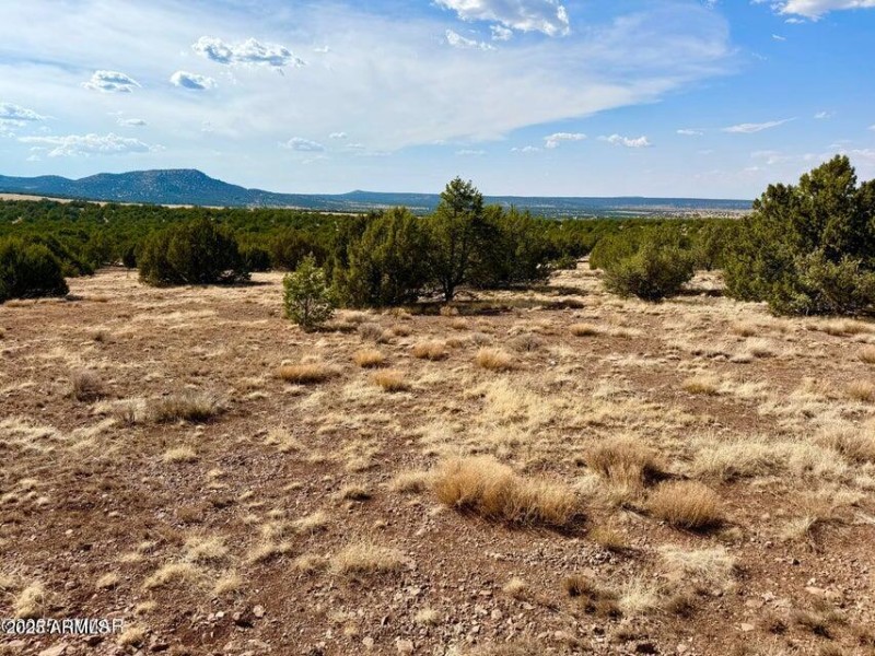 20250824004834953172000000-o