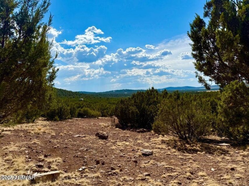 20250824005547259144000000-o