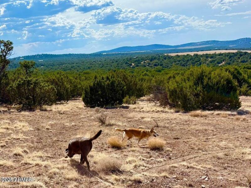 20250824010941680448000000-o