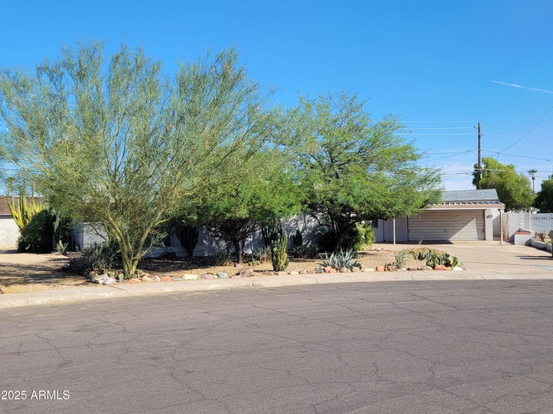 FRONT DESERT LANDSCAP