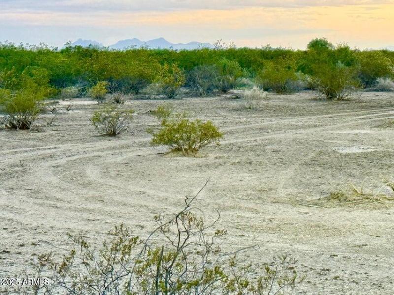 20250923060101812913000000-o