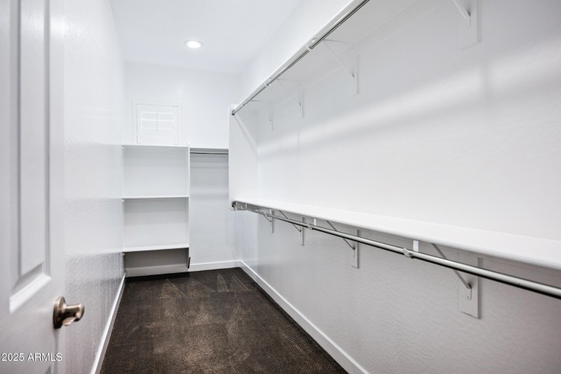 Primary Walk-In Closet #1