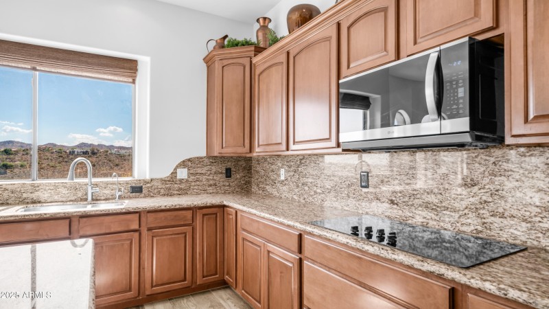 15543 E Scorpion Dr (15)