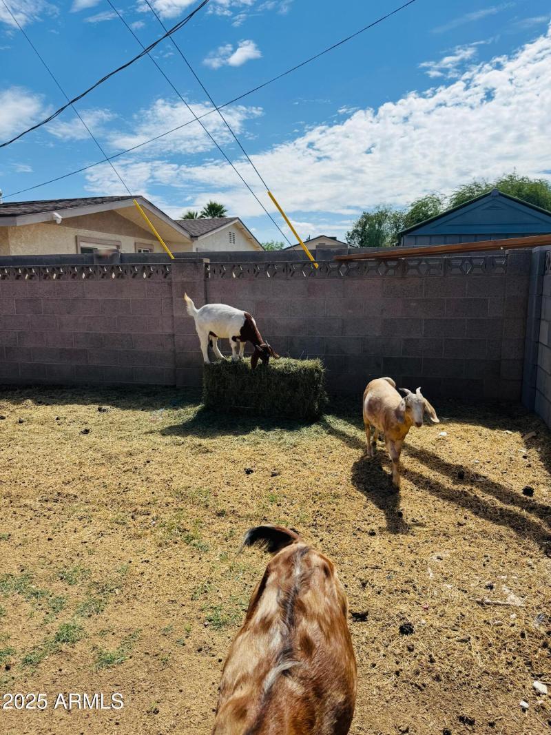 Photo Sep 18 2025, 1 40 10 PM (1)